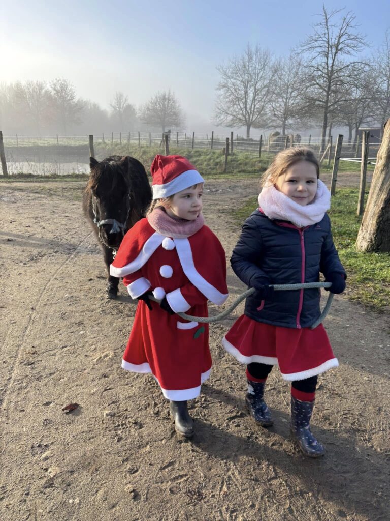 Pony-games de Noël