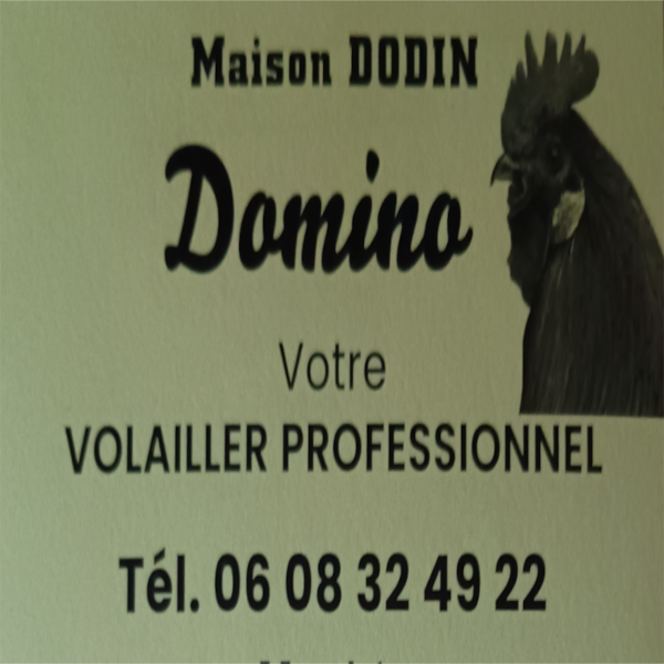 Domino