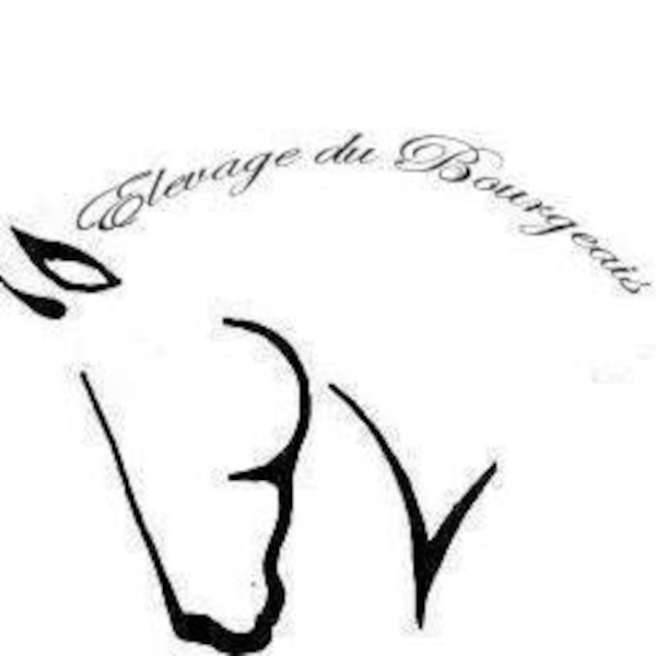 ELEVAGE DU BOURGEAIS