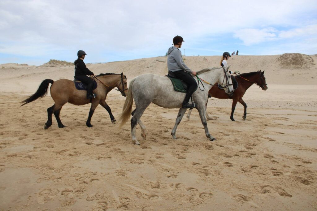 571274954 25010753385258991 8057551669798025174 n