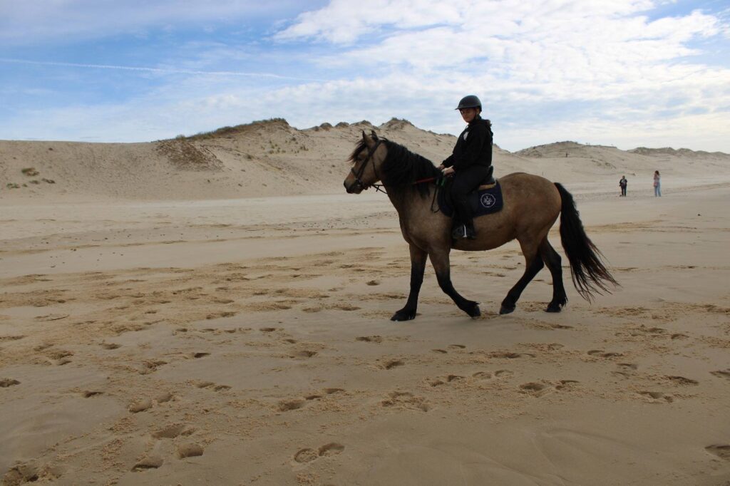 571493060 25010754805258849 5789140378642263395 n