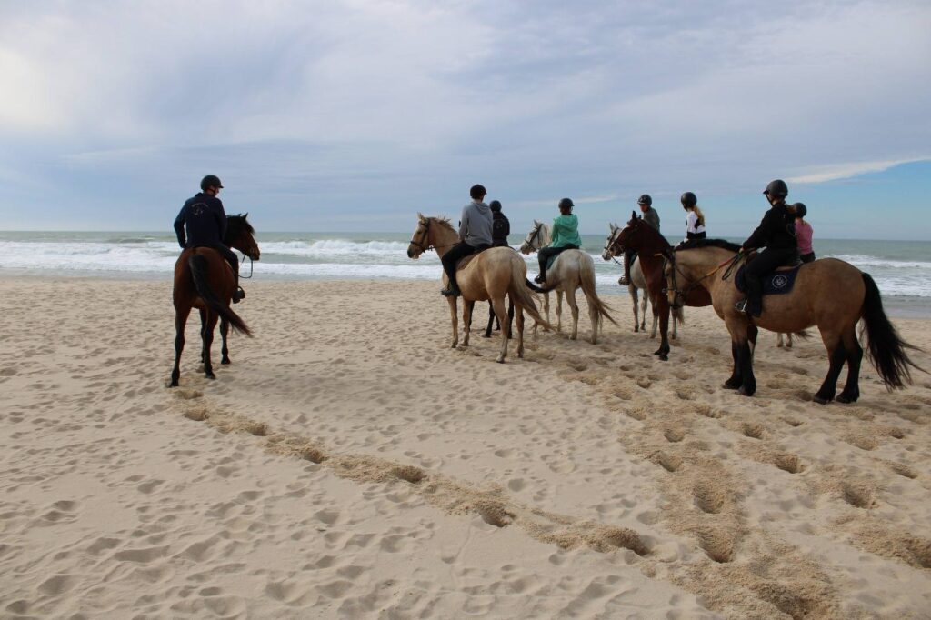 572328219 25010752641925732 4979795621018047864 n