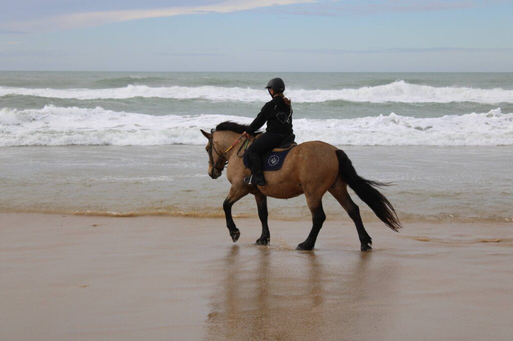 573279470 25010755765258753 1972946373028054390 n