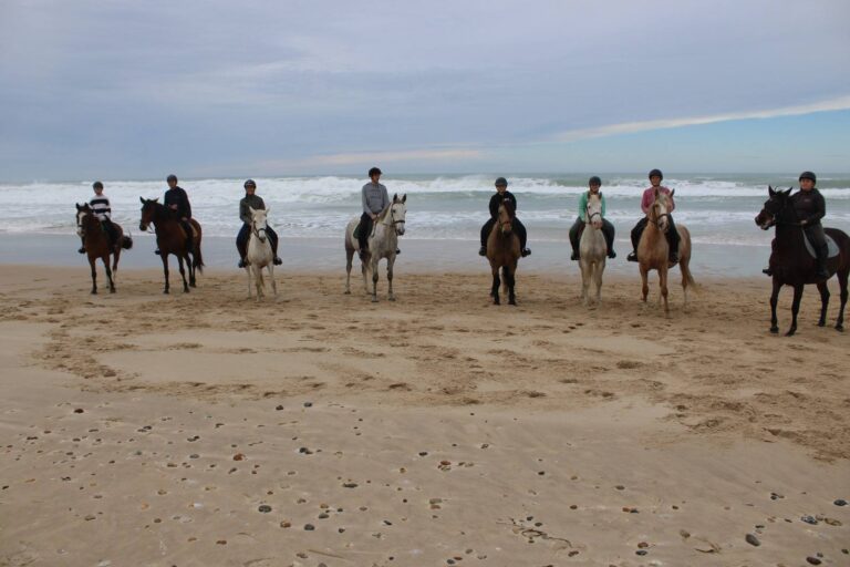 574319921 25010752448592418 1076339846066378123 n