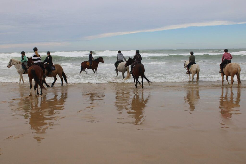 574330037 25010752821925714 2104273375554219487 n