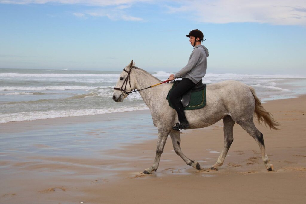 574571226 25010753765258953 8572341864204317173 n