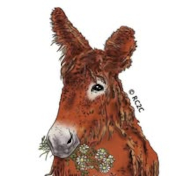 ASINERIE DU BAUDET DU POITOU