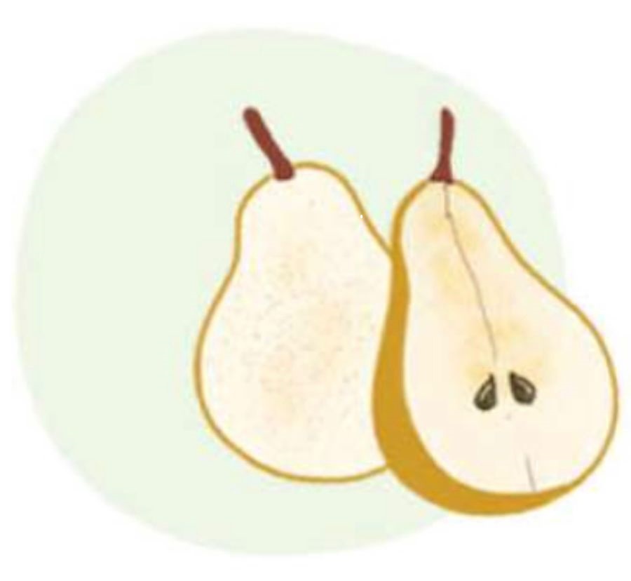 LA MAISON DES GRAINES