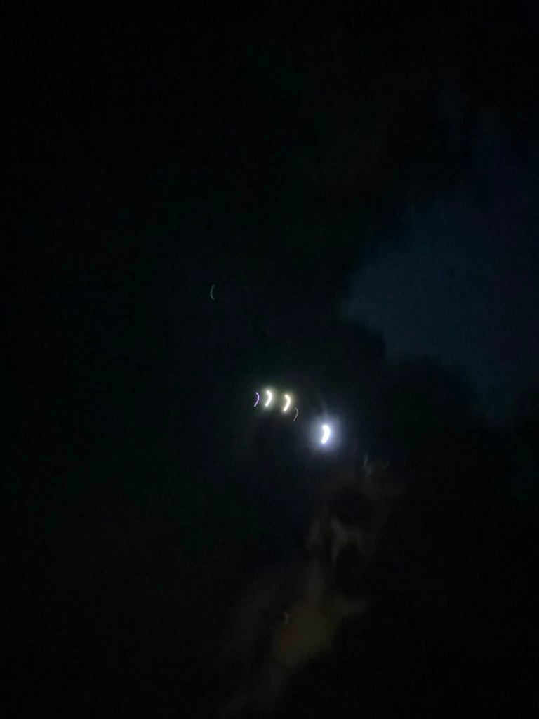 47 jeudi soir