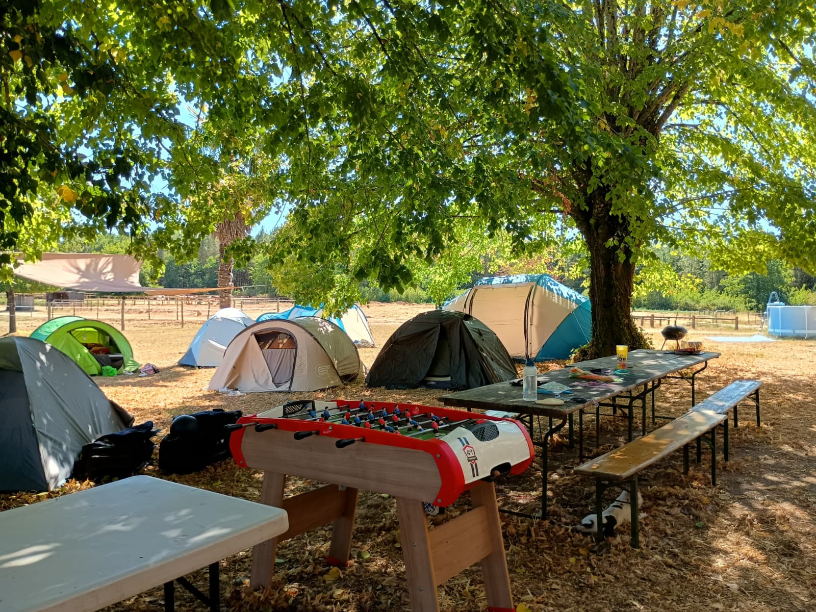 Camps